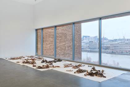 Dark bronze casts of uprooted plants and branches laid in groups on white sheets across a gallery floor, beside tall windows overlooking a river and city skyline