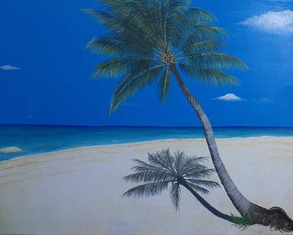 a palm tree on a beach
