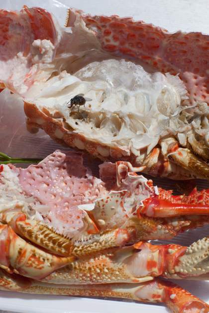 Wolfgang Tillmans astro crusto, a 2012 © Wolfgang Tillmans