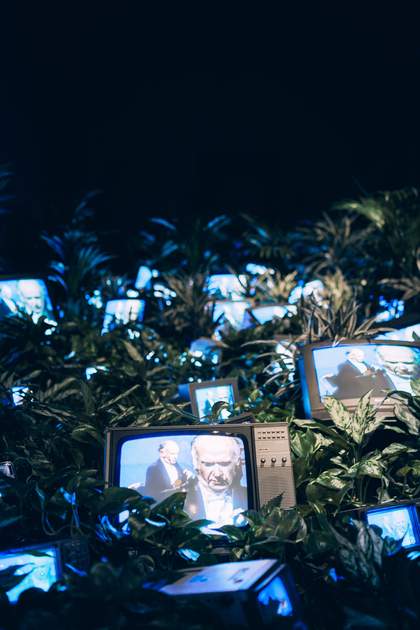 tv screens surrounded by plants