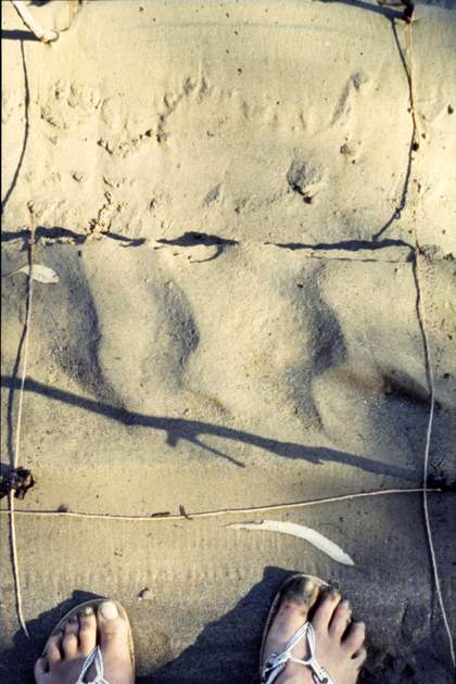 Bird's eye view of someones bare feet in the sand with sticks marking out a square