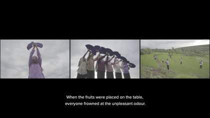 Thao Nguyen Phan Video still from First Rain, Brise-Soleil