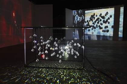 Photograph of Joan Jonas's artwork titled Reanimation