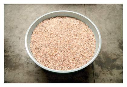 Ai Weiwei Bowl of Pearls detail 2006