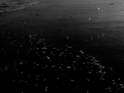 Beatriz Santiago Muñoz, Black Beach/Horse/Camp/The Dead/Forces 2016, video still. Courtesy the artist and Galería Agustina Ferreyra