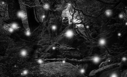 Carlos Casas, Jungle Series I from the Cemetery (Archive works) series, 2016