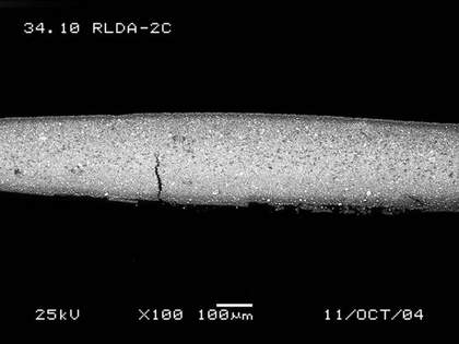 SEM-BSE of red lead (Fisher Scientific) paint showing (b) oil rich layers at top and bottom of sample, paint applied on glass 