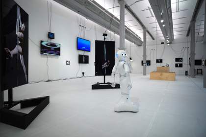 Cécile B. Evans, Sprung a Leak 2016