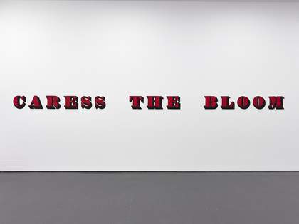View of white wall in a gallery with the words CARESS THE BLOOM printed across it in red text