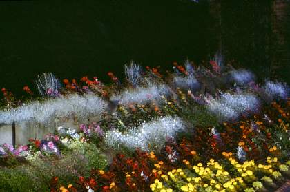 Chris Steele-Perkins, Brockwell Park Flower Garden, London, from The Pleasure Principle 1980–9,