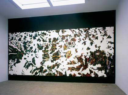 Clare Woods Failed Back 2004