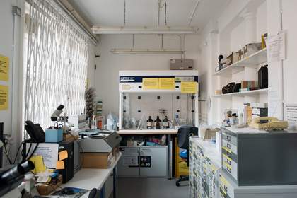 The Tate Microscopy Laboratory
