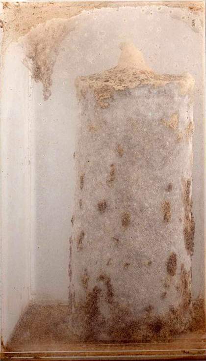 Dieter Roth Gartenzwerg 1972