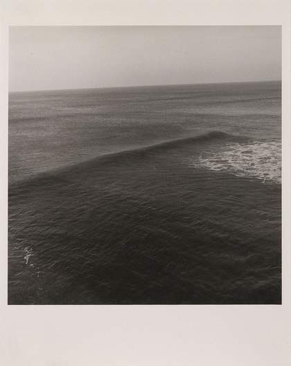 Trisha Donnelly Untitled 2010