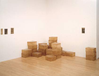 Doris Salcedo Detail of Atrabiliarios 1992–2004