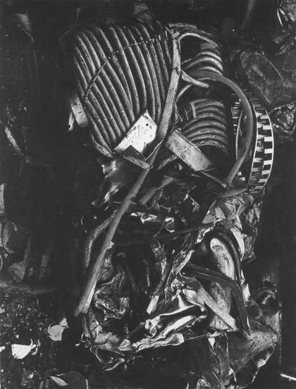 Emila Medková Arcimboldo I 1978