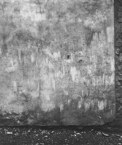 Emila Medková Wall 1951