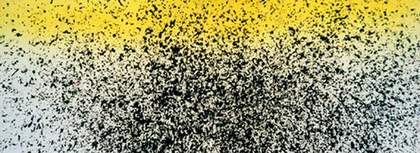 Hans Hartung T1985-H30 1985