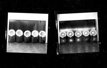 Susana Salgado Girasoles (Sunflowers) installed at Premio Nacional, Centro de Artes Visuales, Instituto Torcuato Di Tella, Buenos Aires, 1966