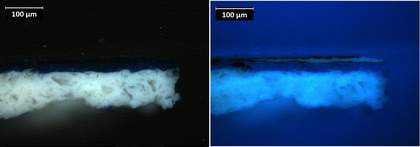 Cross-section of paint from the lower edge, below the feet, in visible light and ultraviolet light