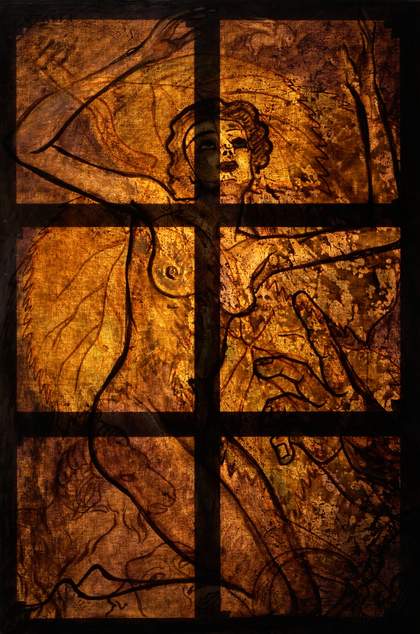 Otaïti 1930 under transmitted light