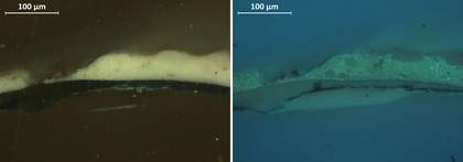 Cross-section of paint from left edge of sleeve in visible light and ultraviolet light