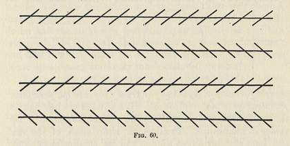 Diagram of Zöllner line illusion from William James, The Principles of Psychology, vol.2, New York 1890