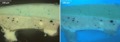 Cross-section of paint from upper-right edge in visible light and ultraviolet light