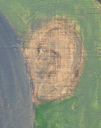 Detail of the ear in transmitted light