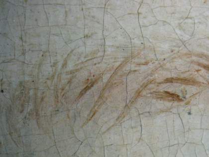Fig.13 ​​​​​​​Wet-in-wet work in the eyebrow, photographed at x10 magnification