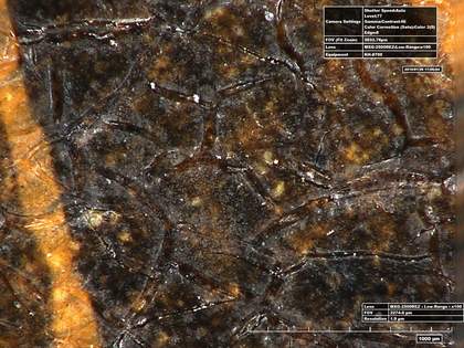 High-resolution micrograph of ‘b’ in signature