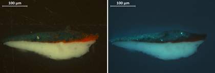 Cross-section showing red and green paint from the darker beads in visible light (vis) and ultraviolet light (uv)