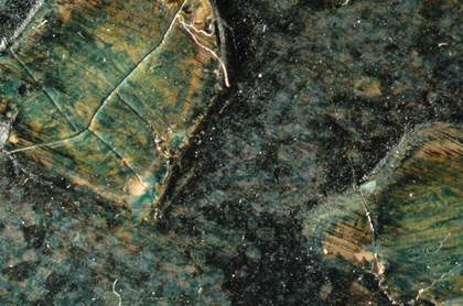 Detail of raised white spots in thigh coated with green/blue glaze