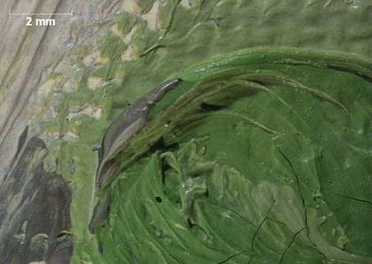 Micrograph of light green bead with grey paint from outline of hand