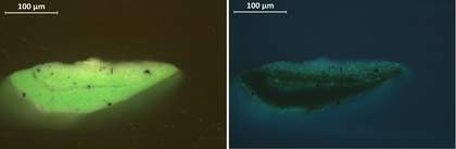 Cross-section showing paint from the top green bead in visible light (vis) and ultraviolet light (uv)
