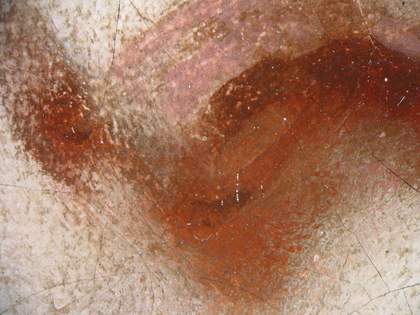 Fig.24 Detail at x8 magnification of the nose of the woman in blue