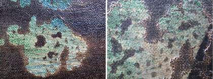 Details showing the reticulated black layer