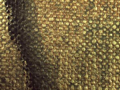 Micrograph of black outline of torso at lower-right edge