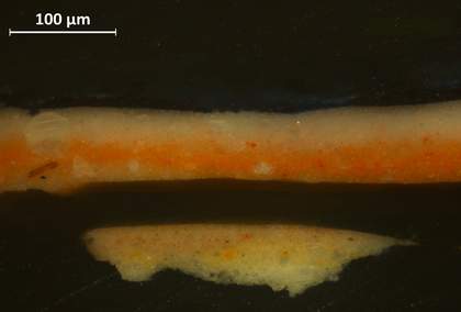 Cross-section of paint from loss in the hand