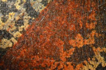 Detail of shoulder area