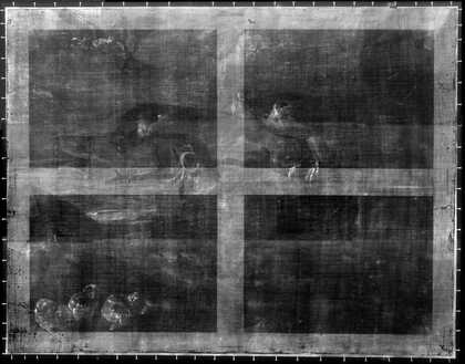 Fig.2 X-radiograph of A Roller, two Peregrine Falcons and a Long-eared Owl with her Young