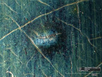 High-resolution micrograph showing a lead soap aggregate pushing through the varnished surface of the background