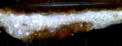 Fig.3 Cross-section through the background, photographed at x 200 magnification. 