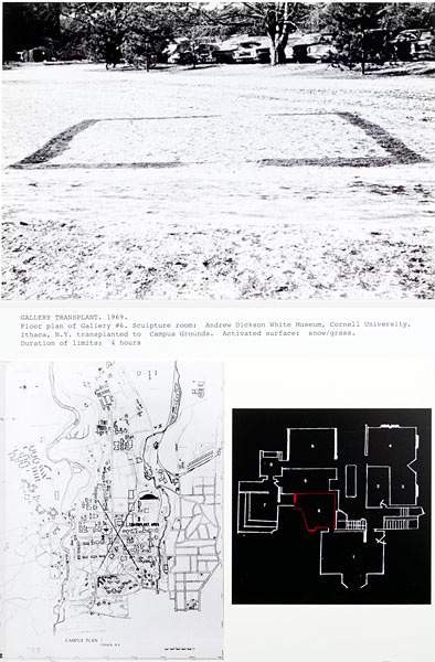 Dennis Oppenheim, Gallery Transplant 1969