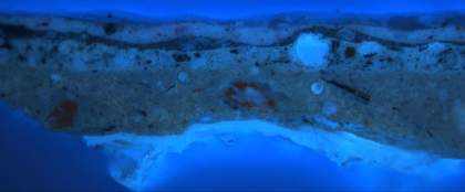 Fig.4 Cross-section through the pink strap of the left shoe, photographed at x360 magnification, viewed in ultraviolet light. 