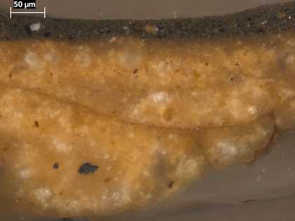 Fig.4 Cross-section through the dark background at the right edge, photographed at x320 magnification. 