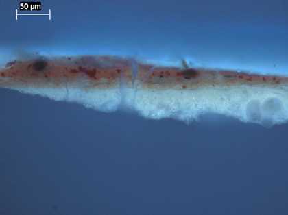 Fig.5 The same cross-section viewed in ultraviolet light