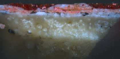 Fig.5 Cross-section through the red shadow in the costume below the sitter’s left hand, photographed at x320 magnification. From the bottom: white chalk and glue ground, stained dark at the top from oil in the overlying priming; grey priming; opaque pink