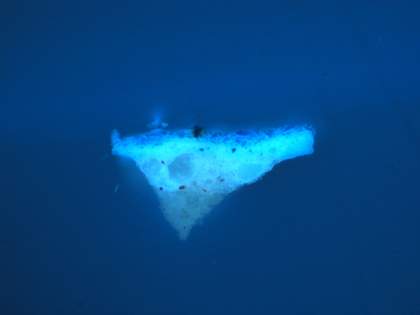 Fig.8 Cross-section through a shadowed fold in the blue dress, photographed at x125 magnification in ultraviolet light. 