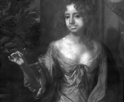  Fig.8 Infrared reflectograph detail